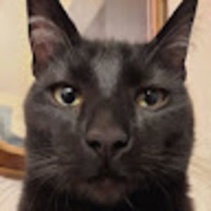 Meet your Posher, Seven